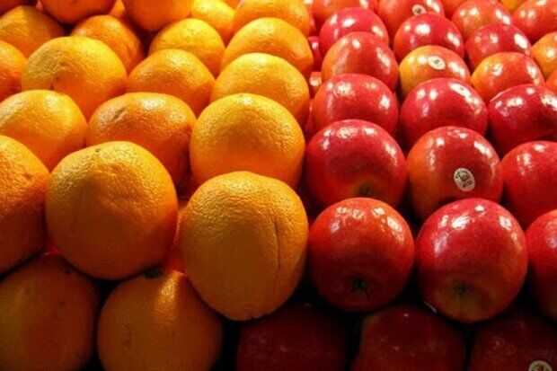 توزیع میوه تنظیم بازار درشبکه تعاون روستایی خراسان رضوی آغاز شد