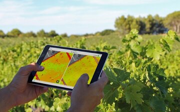 FAO, Iran start  joint programme to reinvigorate agricultural innovation 