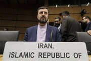 Envoy: Iran's letter on halting voluntary actions submitted to IAEA