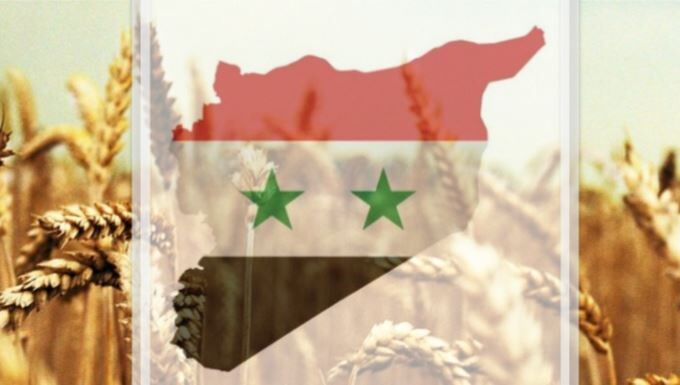 جنگ و تحریم‌های آمریکا امنیت غذایی در سوریه را به خطر انداخته است