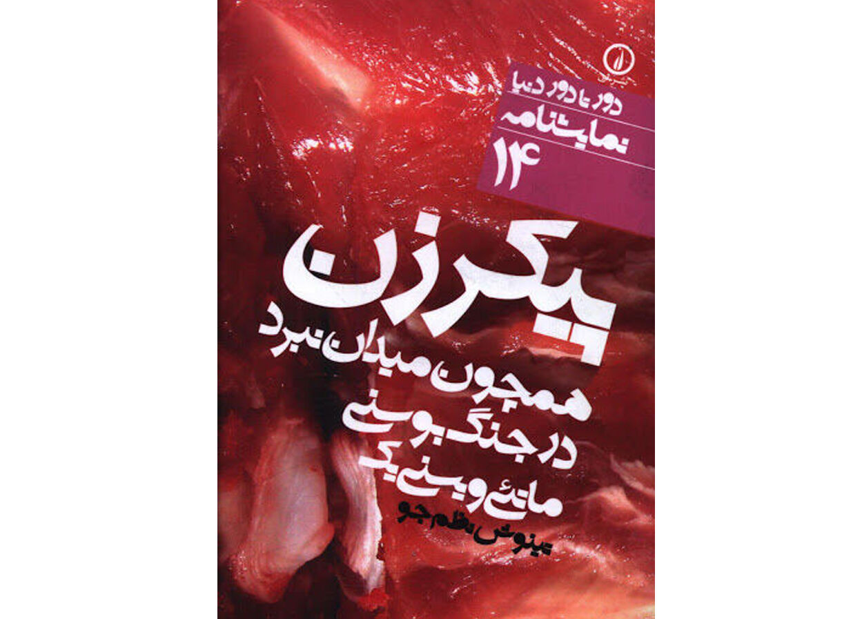 پیکر زن همچون میدان نبرد در جنگ بوسنی