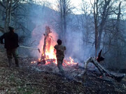 آتش در جنگل ۲ هزار تنکابن خاموش شد