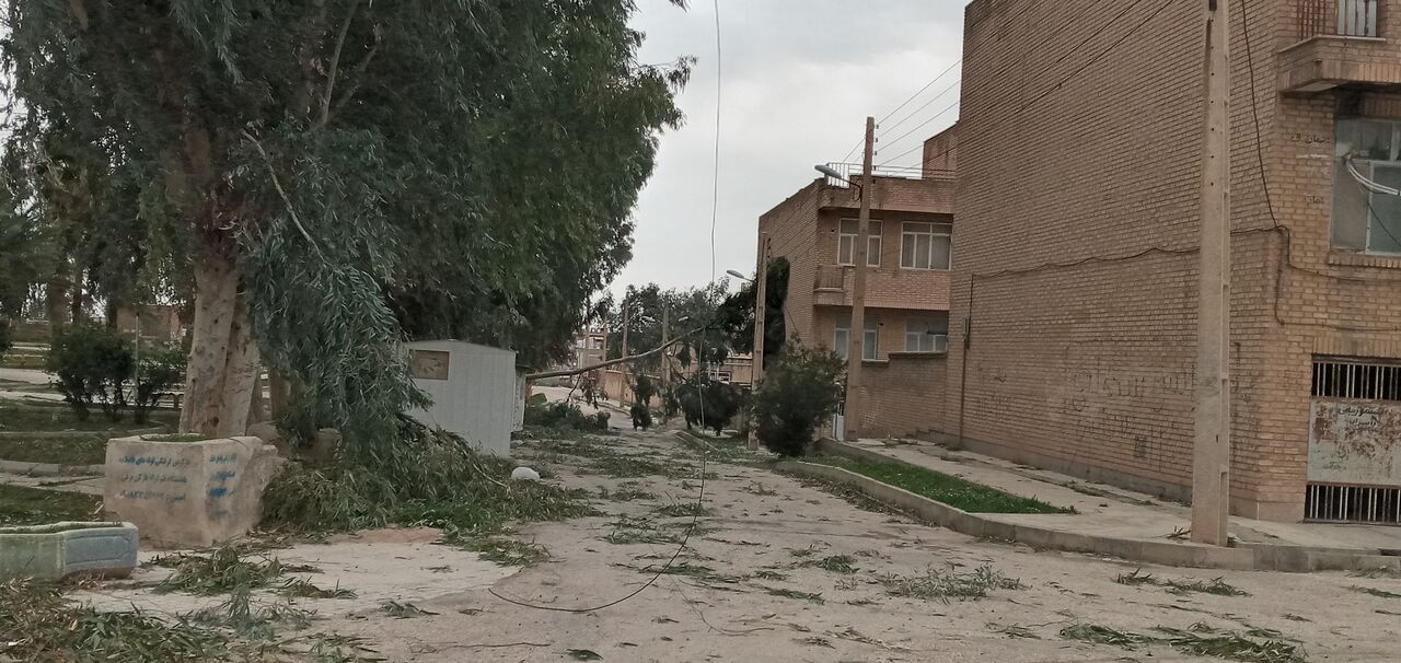 خسارت تند باد در قصرشیرین در حال بررسی و برآورد است