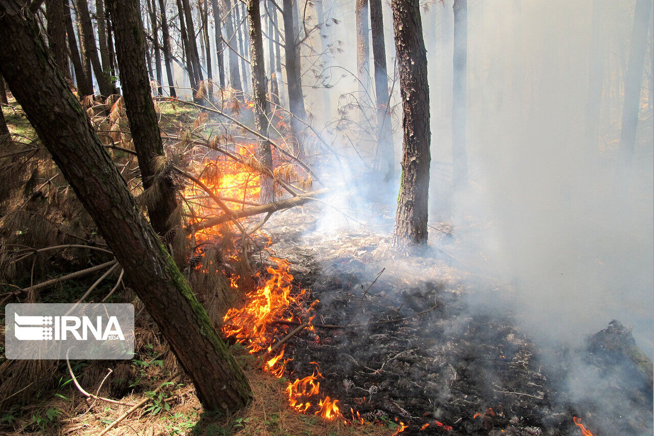 حدود سه هکتار از جنگل‌های بخش دودانگه ساری در آتش سوخت