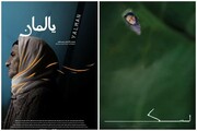 ۲ فیلم مستند از مازندران به جشنواره رضوی راه یافت