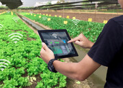 انقلاب بهره‌وری در کشاورزی با بکارگیری هوش مصنوعی