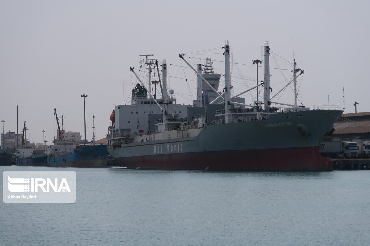 Iran to launch direct shipping lines for South Africa and Latin American states