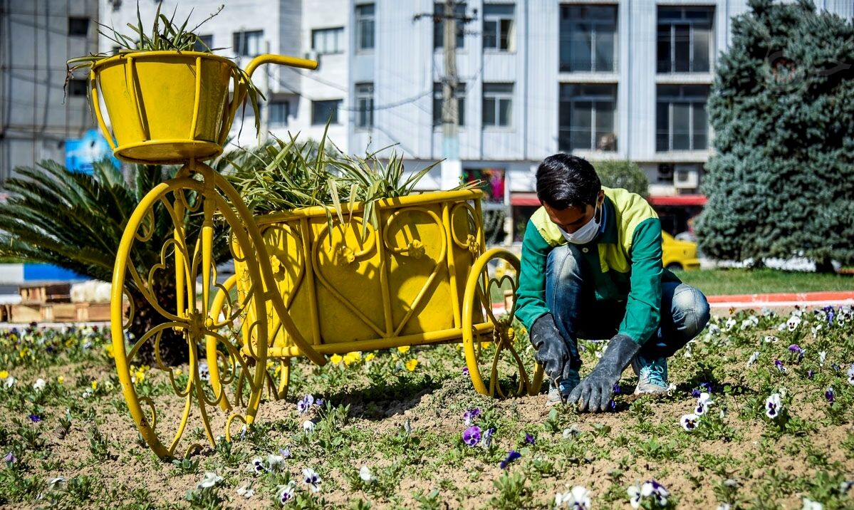 کاشت ۹ میلیون بوته انواع گل در تبریز آغاز شد
