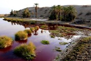 Jaazmoorian Red-Water Pond, a miracle at desert’s heart