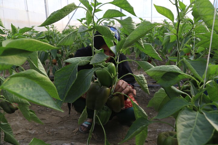 آغاز فصل جدید؛ خانه کارگر جنوب کرمان و پایان یک «بیپشتوانگی» تاریخی