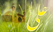 الگوگیری از امام علی(ع) تکلیف هر شیعه تابع ولایت است