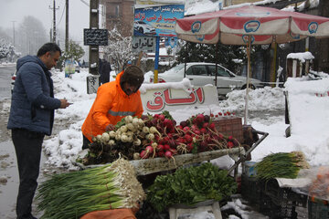 بارش برف و شادی مردم آستارا‎