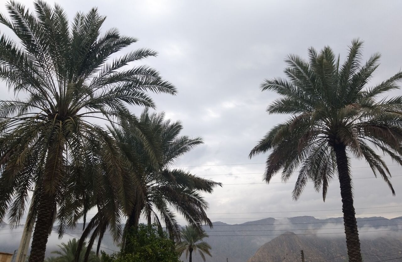 هواشناسی برای بوشهر بارش پراکنده باران پیش‌بینی کرد