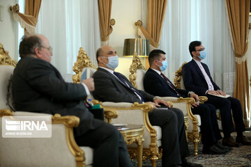 Iraqi FM meets with Shamkhani