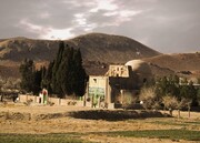 سروهای کهنسال رشتخوار خراسان رضوی در فهرست میراث طبیعی ایران ثبت شد