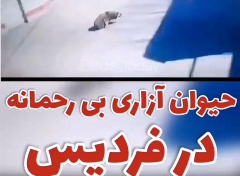 دستگاه قضایی حکم دستگیری حیوان آزار را در فردیس صادر کرد