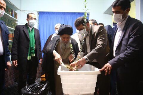 کاشت درخت با اهتمام جدی در کشور دنبال شود