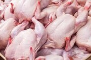 قیمت مرغ در خراسان شمالی به نرخ تنظیم بازار نزدیک شد