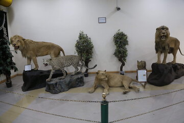 Iran : Musée d'Histoire naturelle d'Ardabil à l’ouest