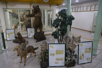 Iran : Musée d'Histoire naturelle d'Ardabil à l’ouest