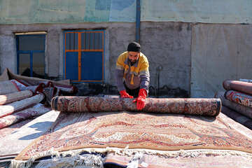 قالیشویی در زنجان