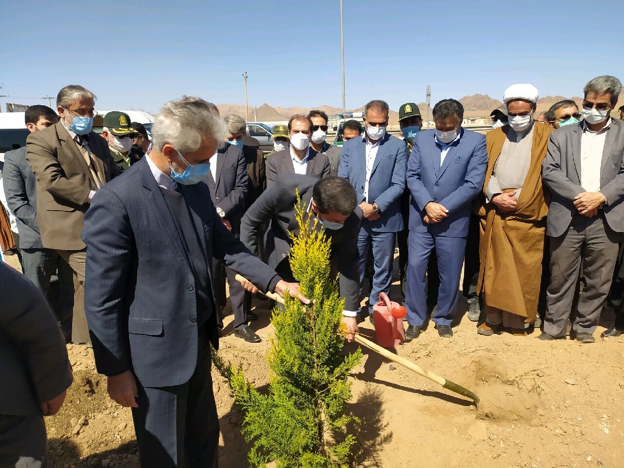 چهار هزار اصله نهال در ورودی شهر بیرجند کاشته شد