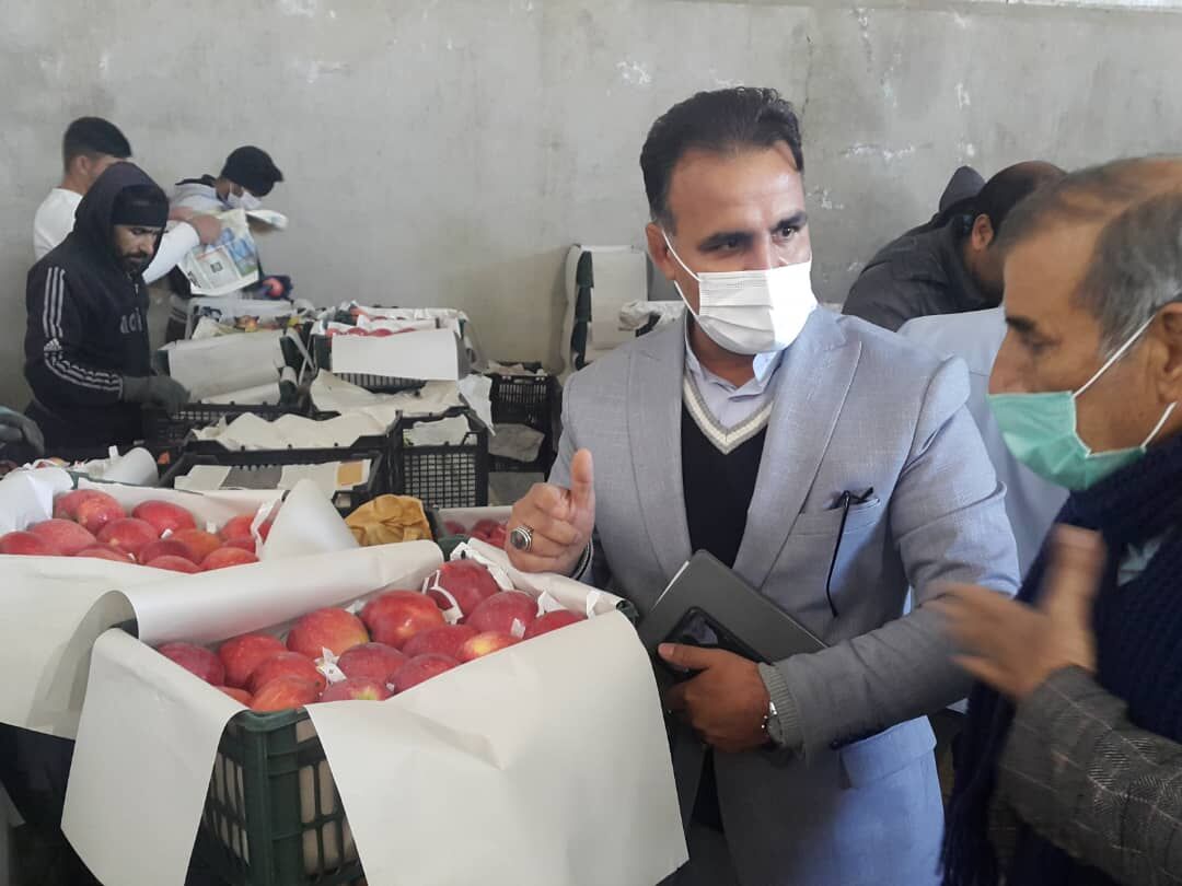طرح نظارت و بازرسی بازار شب عید در بروجرد آغاز شد