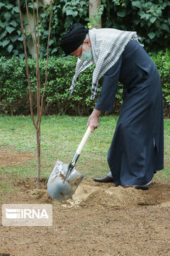 Supreme Leader plants trees on national tree planting day