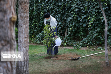 Supreme Leader plants trees on national tree planting day