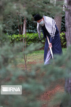 Supreme Leader plants trees on national tree planting day