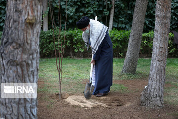 L'ayatollah Khamenei plante des jeunes arbres, à l'occasion de la semaine des ressources naturelles