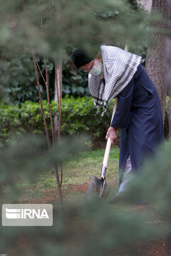 Supreme Leader plants trees on national tree planting day