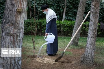 Supreme Leader plants trees on national tree planting day