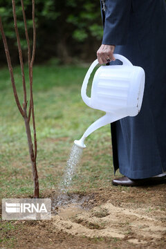 Supreme Leader plants trees on national tree planting day