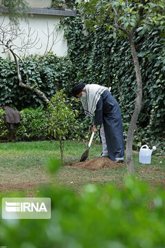 Supreme Leader plants trees on national tree planting day