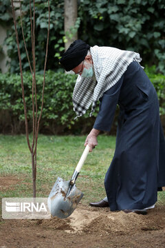 Supreme Leader plants trees on national tree planting day