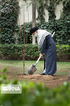 Supreme Leader plants trees on national tree planting day