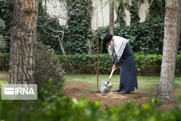 Supreme Leader plants trees on national tree planting day