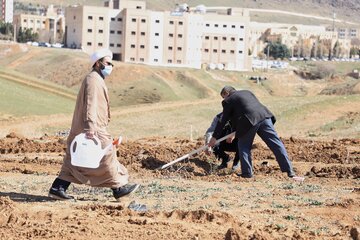 مراسم  درختکاری در خرم آباد