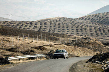 طبیعت روستای آرندان