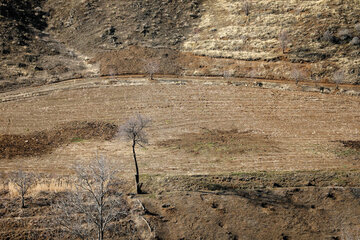 طبیعت روستای آرندان