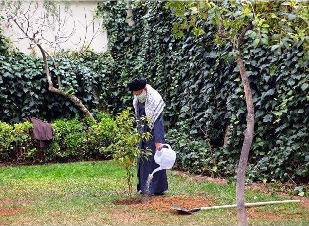 Supreme Leader plants trees on national tree planting day