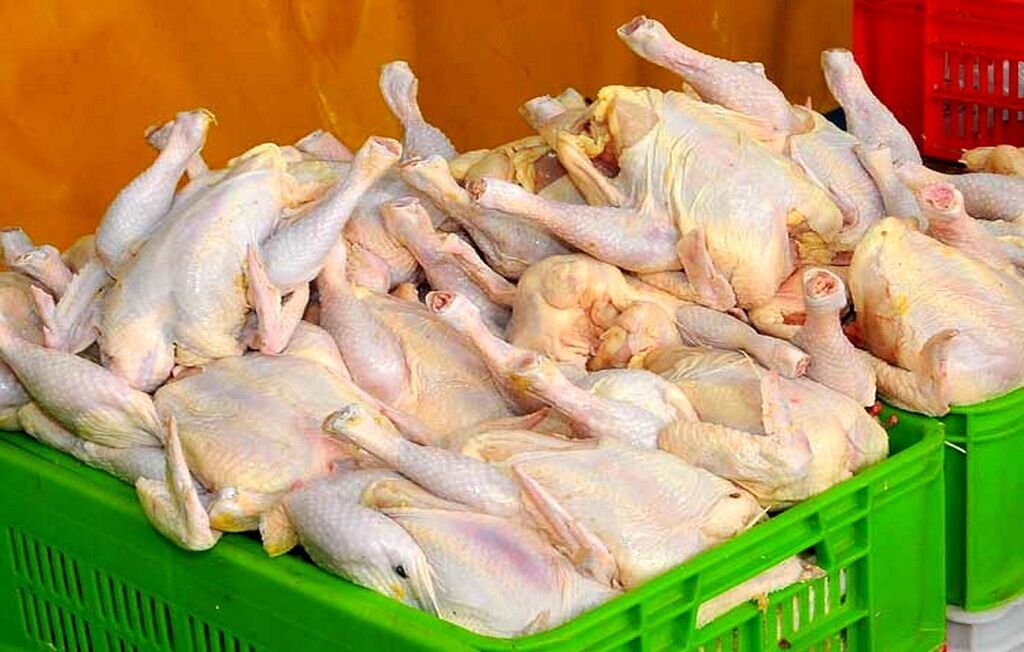 ۱۰۰ تن مرغ احتکاری در شهرستان ری کشف شد