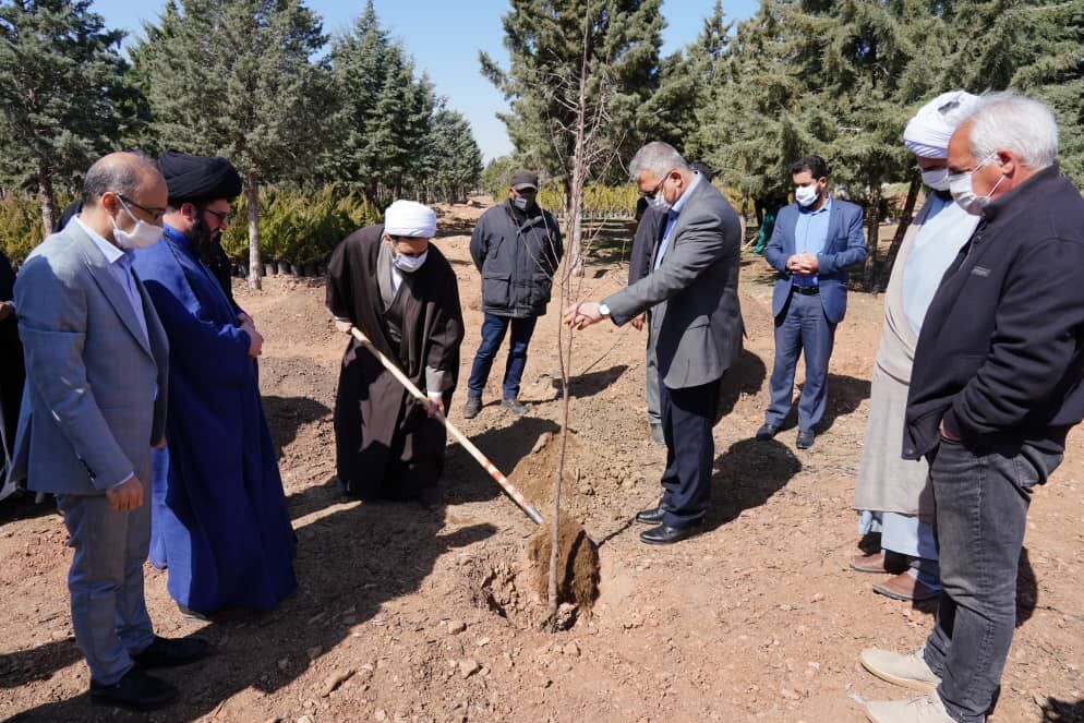  توزیع رایگان بیش از  سه هزار اصله نهال در شهرجدیدهشتگرد