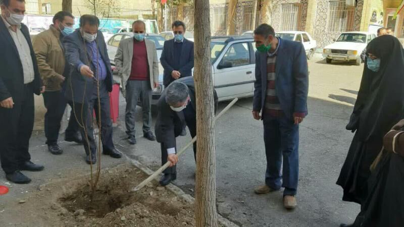نهالکاری به یاد شهدای دانش آموز در البرز