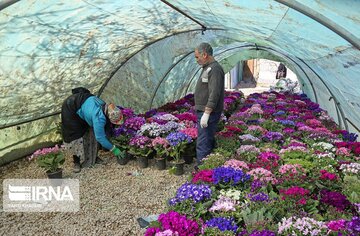 بجنورد با ۴۱۷ هزار گلدان به پیشواز بهار می‌رود