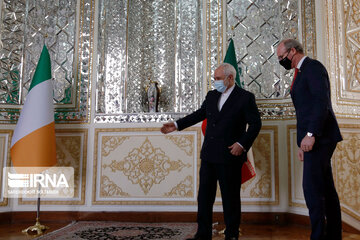 Iran, Ireland FMs meet in Tehran