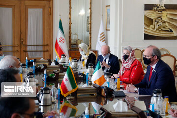 Iran, Ireland FMs meet in Tehran