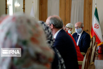 Iran, Ireland FMs meet in Tehran