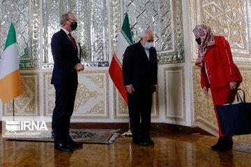 Iran, Ireland FMs meet in Tehran